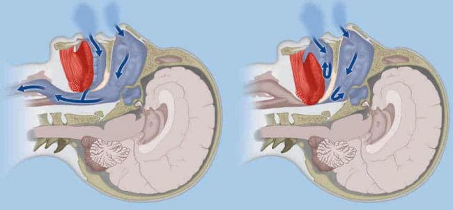 Fotolia_123927854_Subscription_Monthly_M